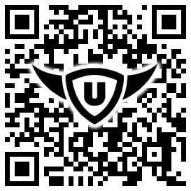 QR-Code Stonies