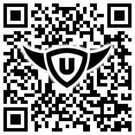 QR-Code Stonies