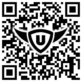 QR-Code Stonies