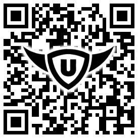 QR-Code Stonies