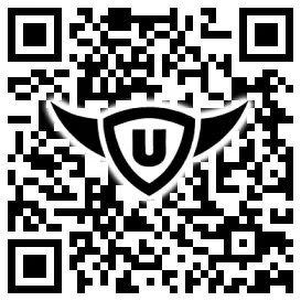 QR-Code Stonies