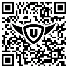 QR-Code Stonies